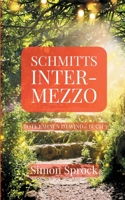 Schmitts Intermezzo: Ein romantischer Thriller der Welten bewegt 3347013964 Book Cover