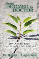 From DOOMED to DOCTOR 280 Chestnut Street: Born in the Crack but Didn't FALL Through 1541250133 Book Cover