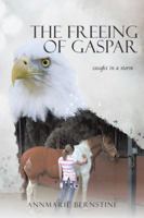 The Freeing of Gaspar: Caught in a Storm 1504364848 Book Cover