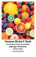 Tanaman Herbal Dan Buah Yang Berkhasiat Untuk Menyembuhkan Sakit Gigi (Toothaches) Secara Alami Hardcover Version 1034515500 Book Cover