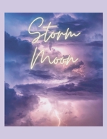 Storm Moon 1329891791 Book Cover