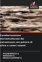 Caratterizzazione microstrutturale del calcestruzzo con polvere di silice e ceneri volanti (Italian Edition) 6630437586 Book Cover