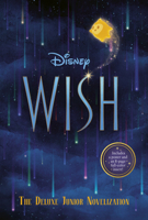 Disney Wish: The Deluxe Junior Novelization 0736444068 Book Cover