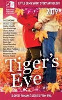 Tigers Eye - 2019 RWA Little Gems Short Story Anthology 0648587703 Book Cover