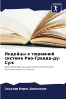 Индейцы в тюремной системе Рио-Гранде-ду-Сул:: Диагноз и прогнозы для гуманной уголовно-исполнительной политики 6206056724 Book Cover