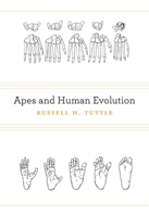 Apes and Human Evolution 0674073169 Book Cover