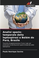 Analisi spazio-temporale della leptospirosi a Belém do Pará, Brasile 6207295714 Book Cover