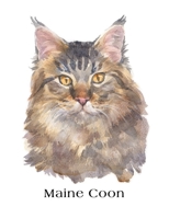 Maine Coon: Large Lined Journal 8.5 x 11 1673980538 Book Cover