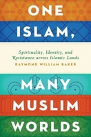 One Islam, Many Worlds of Muslims: Spirituality, Identity, and Resistance across the Islamic World 0199846472 Book Cover