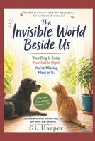 The Invisible World Beside Us: There’s a layer of sound above your world, always there. Your dog and cat lives in it. Shared Space, Different Worlds (Back Porch Series: Slow Thinking, Anywhere) B0H15Q4HTB Book Cover