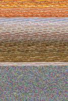 Beloved Child of the 3rd Reich 0984453652 Book Cover