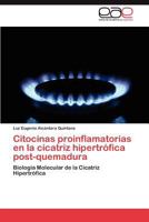 Citocinas Proinflamatorias En La Cicatriz Hipertrofica Post-Quemadura 3845482419 Book Cover