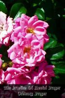 The Practice Of Mental Prayer 1470193639 Book Cover