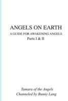 Angels on Earth : A Guide for Awakening Angels 1719067376 Book Cover