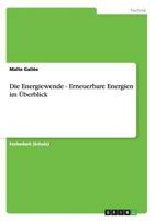 Die Energiewende - Erneuerbare Energien im Überblick 3656329311 Book Cover