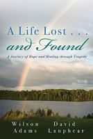 A Life Lost... and Found: A Journey of Hope and Healing Through Tragedy 1579219918 Book Cover