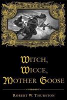 The Witch Hunts: A History of the Witch Persecutions in Europe and North America (2nd Edition) 1405840838 Book Cover