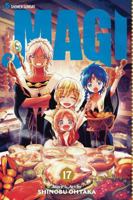 Magi: The Labyrinth of Magic, Vol. 17 1421577933 Book Cover