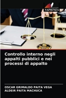 Controllo interno negli appalti pubblici e nei processi di appalto 6204040138 Book Cover