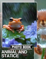 Animal and Statice Photo Book: Vibrant Collection Featuring 40 Stunning Images Of Wildlife And Surroundings B0DPXM5PVQ Book Cover