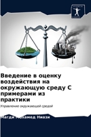 Введение в оценку воздей 620318473X Book Cover