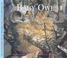 Baby Owl (Nature Babies) 1550417983 Book Cover