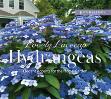 Lovely Lacecap Hydrangeas: Elegant Accents for the Home Garden 0764368966 Book Cover