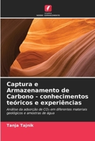 Captura e Armazenamento de Carbono - conhecimentos teóricos e experiências (Portuguese Edition) 6209988385 Book Cover