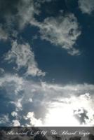 Illustrated Life Of The Blessed Virgin 1499174292 Book Cover