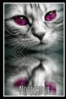 Notizbuch: Planer mit Katze f�r deine Notizen. 120 Seiten mit Karos und gl�nzendem Softcover 170257265X Book Cover
