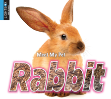 Rabbit 1510501401 Book Cover