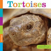 Tortoises 1628323361 Book Cover