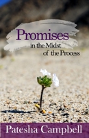 Promises in the Midst of the Process B08Y49Z63P Book Cover