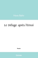 Le Déluge après l'émoi (French Edition) 2414539852 Book Cover