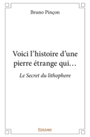 Voici l'histoire d'une pierre étrange qui... (French Edition) 2414299487 Book Cover
