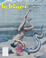 Cabinet 16: The Sea (A Quarterly of Art and Culture) 1932698124 Book Cover