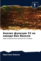 Анализ функции 33 на заводе Ван Винкла: Афро-американская археология в Озарке 6203501913 Book Cover