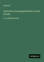 Deutsche Literaturgeschichte in einer Stunde: in Großdruckschrift 3368296124 Book Cover
