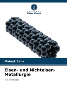 Eisen- und Nichteisen-Metallurgie: Für Einsteiger (German Edition) 6207683978 Book Cover