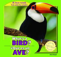 What's a Bird? / Que Es Un Ave? 1448867029 Book Cover