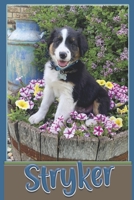 Stryker The English Shepherd Dog (True Stories for Kids) B0DRHQR6CT Book Cover