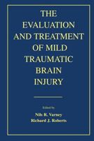 The Evaluation and Treatment of Mild Traumatic Brain Injury 080582393X Book Cover
