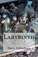 Labyrinth 1543148301 Book Cover