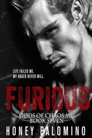 FURIOUS: GODS OF CHAOS MC (BOOK SEVEN) B08DPT6ZB5 Book Cover