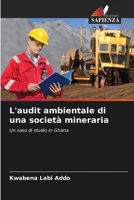 L'audit ambientale di una società mineraria (Italian Edition) 6207004566 Book Cover