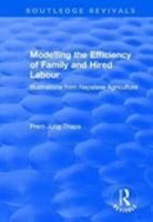 Modelling the Efficiency of Family and Hired Labour: Illustrations from Nepalese Agriculture 1138712183 Book Cover
