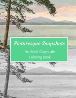 Picturesque Snapshots: An Adult Grayscale Coloring Book: 53 Beautiful Vintage Images Of Landscapes, Nature & Sceneries In Greyscale: Great Gift For Colorists & Artists (Beginner, Intermediate, Advance B083YMDW3T Book Cover