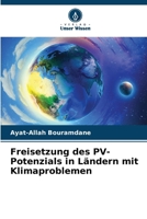 Freisetzung des PV-Potenzials in Ländern mit Klimaproblemen (German Edition) 6207172108 Book Cover