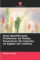 Uma Identificação Preliminar de Ondas Sucessivas de Insectos no Egipto em Coelhos 620642720X Book Cover