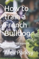 How to train a French Bulldog: Training from puppy to adult B0CT6JXTNL Book Cover